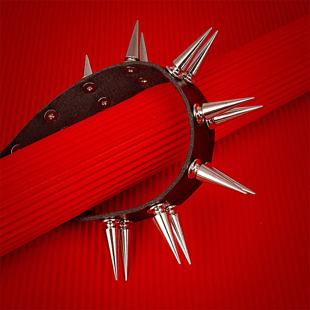 Long Spiked Choker Collar For  - đánh giá và giá Goth Punk Spike Choker